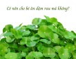 Có nên cho bé ăn dặm rau má không?