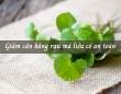Giảm cân bằng rau má liệu có an toàn