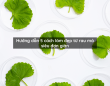 Hướng dẫn 5 cách làm đẹp từ rau má siêu đơn giản