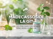 Madecassoside là gì? Loại da nào nên sử dụng thành phần này?