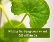 Những tác dụng của rau má đối với làn da