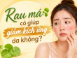 Rau má có giúp giảm kích ứng không? Sự thật không phải ai cũng biết