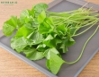Rau má có tác dụng gì?