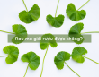 Rau má giải rượu được không? Cách giải rượu bằng rau má