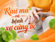 Rau má và bệnh xơ cứng bì: Tiềm năng hỗ trợ phục hồi mô từ dược liệu thiên nhiên