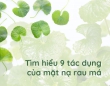 Tìm hiểu 9 tác dụng của mặt nạ rau má