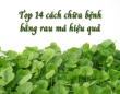 Top 14 cách chữa bệnh bằng rau má hiệu quả