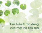 Tìm hiểu 9 tác dụng của mặt nạ rau má