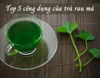 Top 5 công dụng của trà rau má không thể bỏ qua