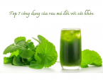 Top 7 công dụng của rau má đối với sức khỏe